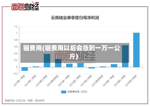 铟费用(铟费用以后会涨到一万一公斤)