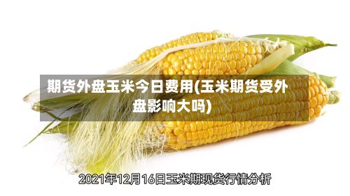 期货外盘玉米今日费用(玉米期货受外盘影响大吗)