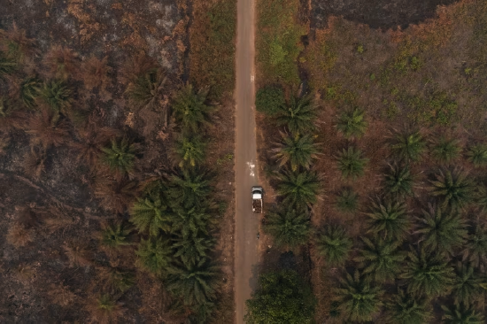 满足全球生物燃料需求，或将需要相当于美国蒙大拿州大小的土地